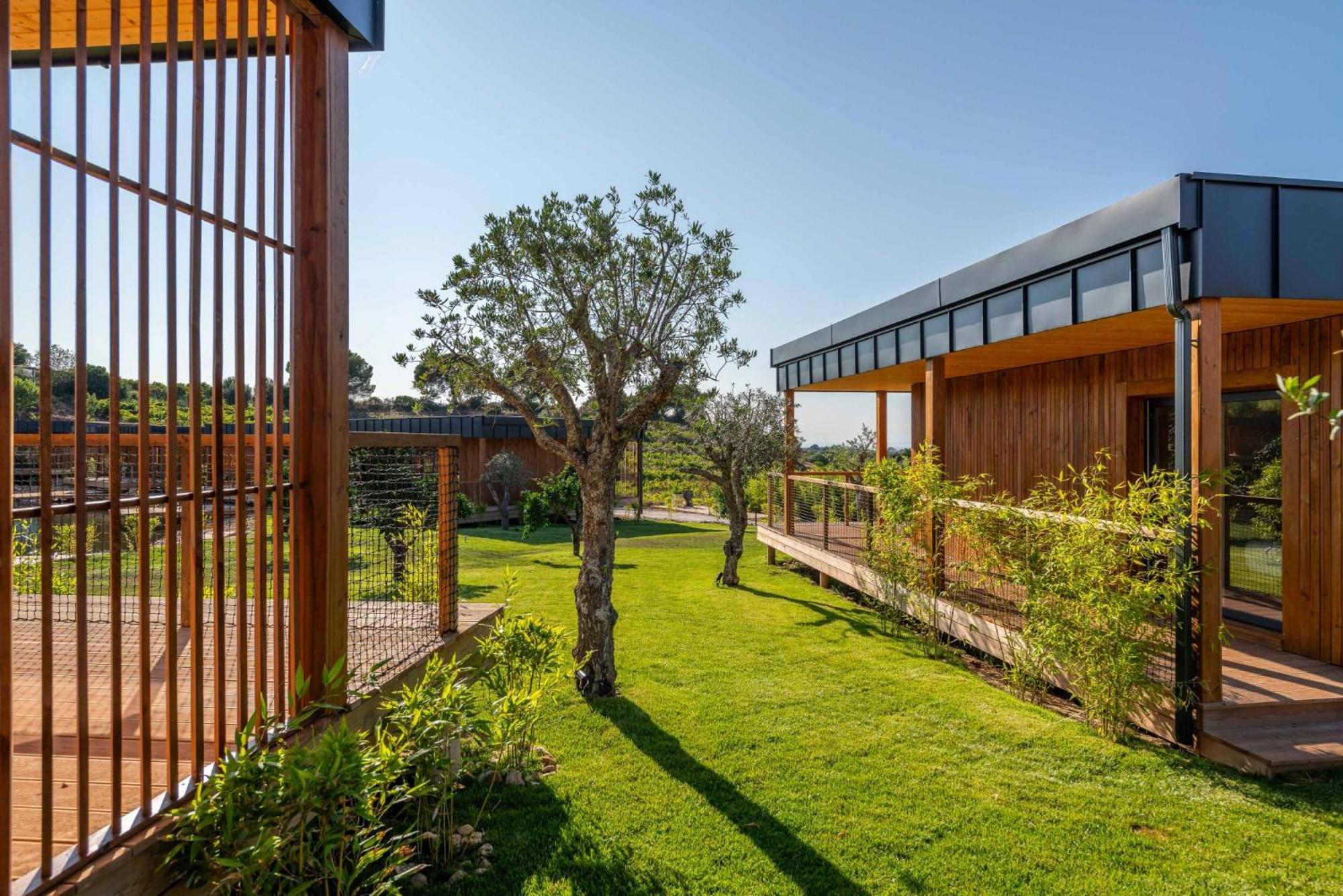 Reserva Alecrim EcoSuite&Glamping Santiago do Cacém Exterior foto